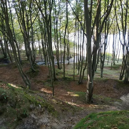 別荘 Domek Poddabie ポッドンビエ